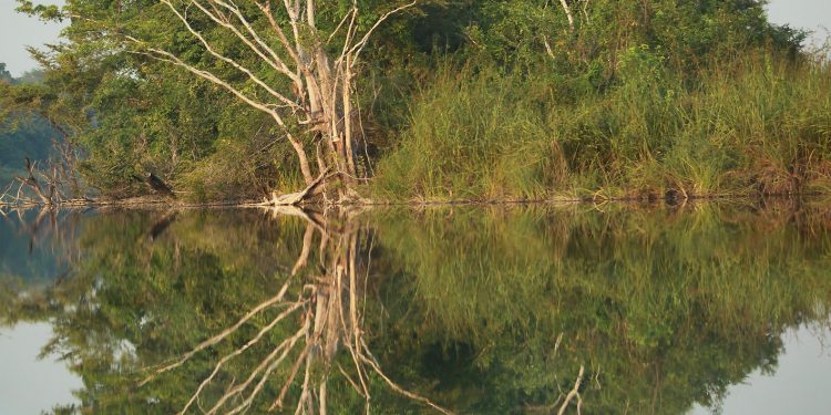 Nuestros recursos naturales son vitales