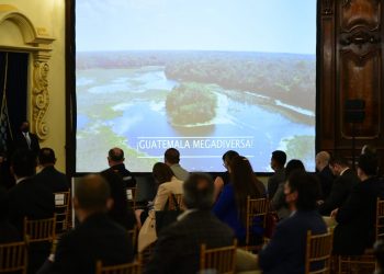 EXPLICAN PROCESO DE DESCARBONIZACIÓN