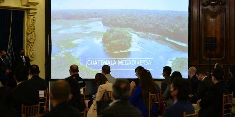 EXPLICAN PROCESO DE DESCARBONIZACIÓN