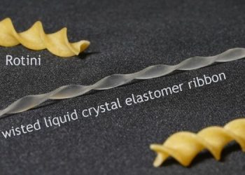 DESARROLLAN ROBOTS BLANDOS