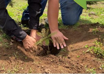 Promueven participación en programa Sembrando Huella, en Totonicapán