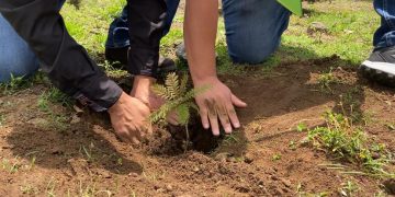 Promueven participación en programa Sembrando Huella, en Totonicapán