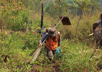Alta Verapaz activa brigada contra incendios forestales