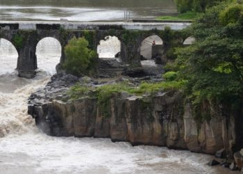 Autoridades analizan siembra de plantas nativas en cercanías de río Los Esclavos