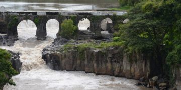 Autoridades analizan siembra de plantas nativas en cercanías de río Los Esclavos