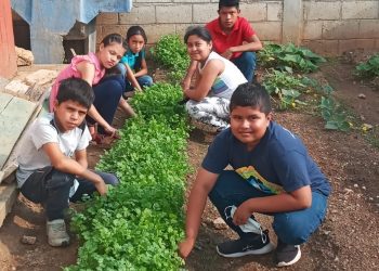 Huertos pedagógicos refuerzan la educación y seguridad alimentaria en Zacapa