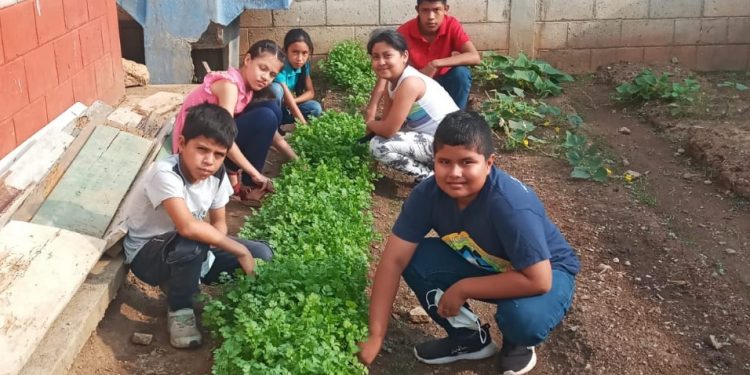 Huertos pedagógicos refuerzan la educación y seguridad alimentaria en Zacapa