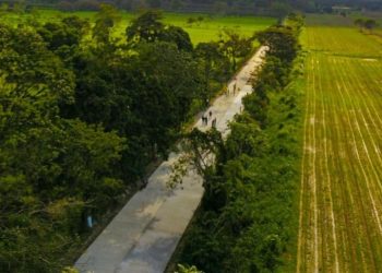 Pavimentación de tramo favorece el desarrollo de Morales