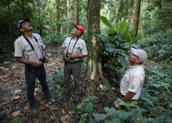 MARN REGISTRA ESPECIES EN MONITOREO BIOLÓGICO