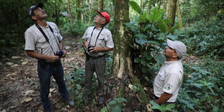 MARN REGISTRA ESPECIES EN MONITOREO BIOLÓGICO