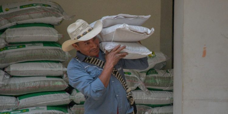 Agricultores de Rabinal mejorarán su producción de alimentos
