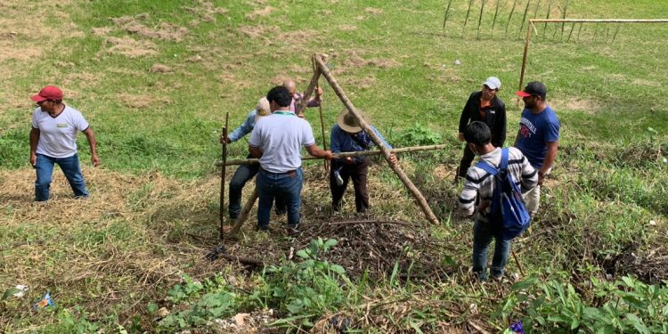 Agricultores de Alta Verapaz se instruyen en conservación de suelos