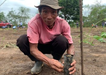Jornadas de reforestación contribuyen a proteger el río Ocosito