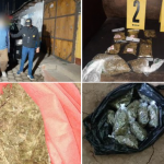 Incautan marihuana en allanamientos contra el narcomenudeo
