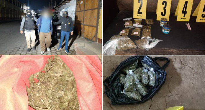 Incautan marihuana en allanamientos contra el narcomenudeo