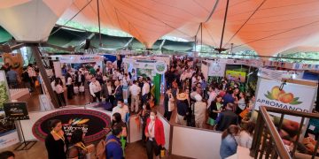 Proyectan cierre de ventas por 30 millones de dólares en Agritrade Expo & Conference