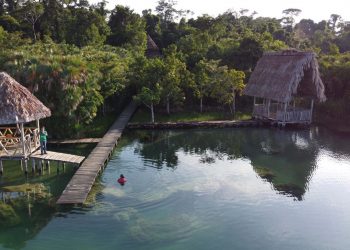 Resaltan importancia de conservar la diversidad biológica