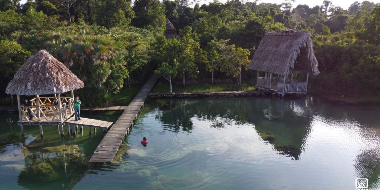 Resaltan importancia de conservar la diversidad biológica