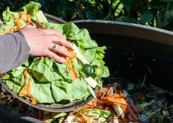 Proyecto europeo de economía circular constata valor de los biorresiduos