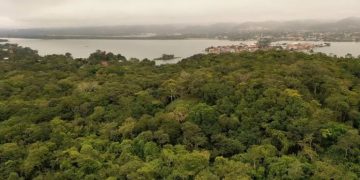 Institucionalizan parque arqueológico Tayasal