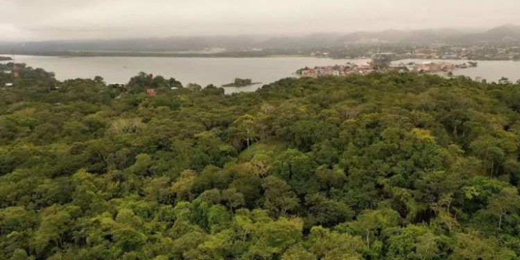 Institucionalizan parque arqueológico Tayasal