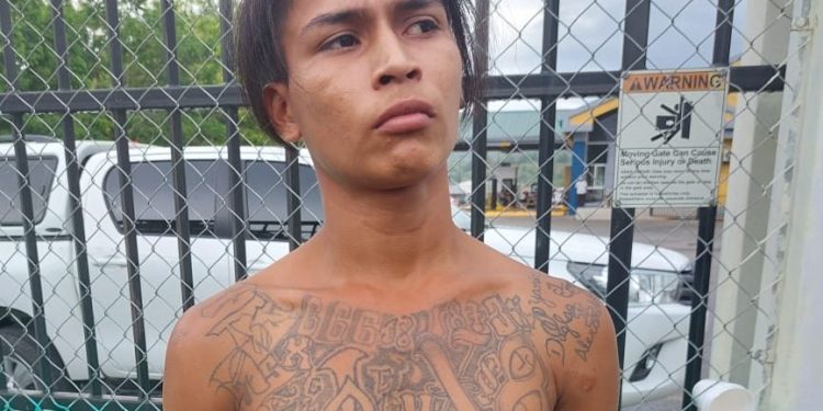 PNC localiza y captura a dos mareros en el país