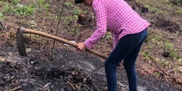 Trazan meta de plantar 5 mil árboles en Quiché