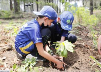 Plantarán 250 mil arbolitos en 14 municipios de la cuenca del Lago de Amatitlán