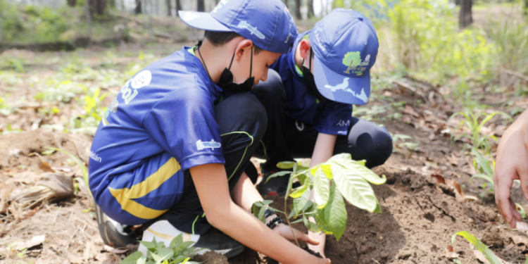 Plantarán 250 mil arbolitos en 14 municipios de la cuenca del Lago de Amatitlán