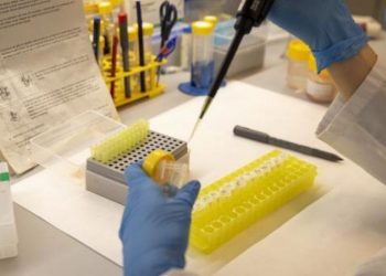 Suben a 39 los casos de viruela del mono en Portugal