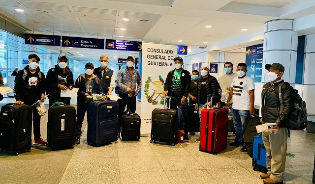 Más de 11 mil 800 guatemaltecos beneficiados con trabajo temporal en Motreal
