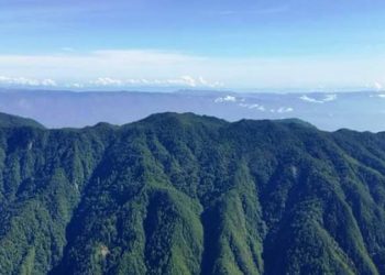 Alianza reforzará protección de sierra de Las Minas