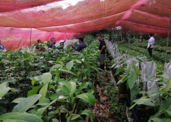 INNOVACIÓN DE LA AGRICULTURA DE AMÉRICA