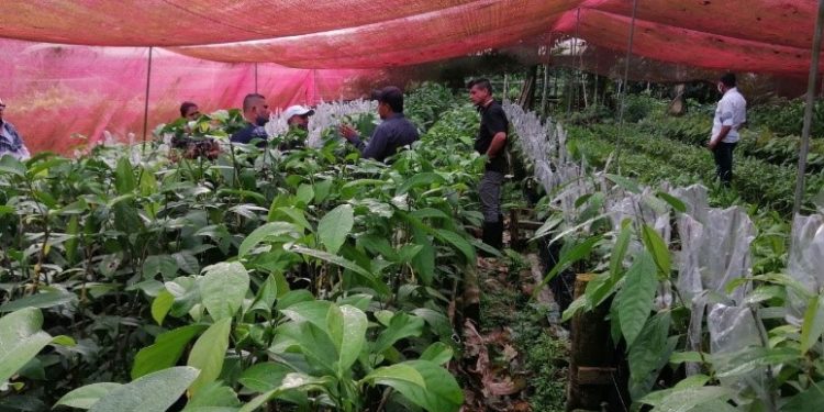 INNOVACIÓN DE LA AGRICULTURA DE AMÉRICA