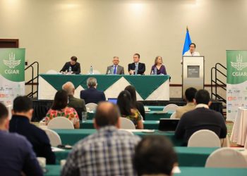 Le apuestan a resiliencia y sostenibilidad de productores guatemaltecos