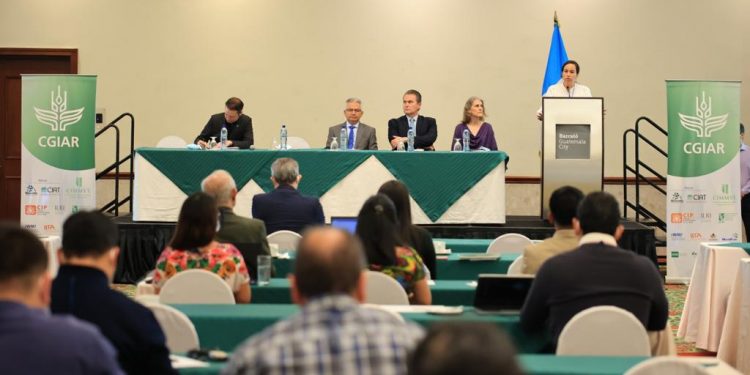 Le apuestan a resiliencia y sostenibilidad de productores guatemaltecos