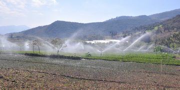 Sistema de riego fortalecerá la producción agrícola en Champerico