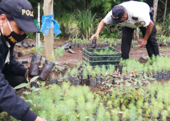 PNC pone en marcha “Un árbol por mi comunidad” en Zacapa