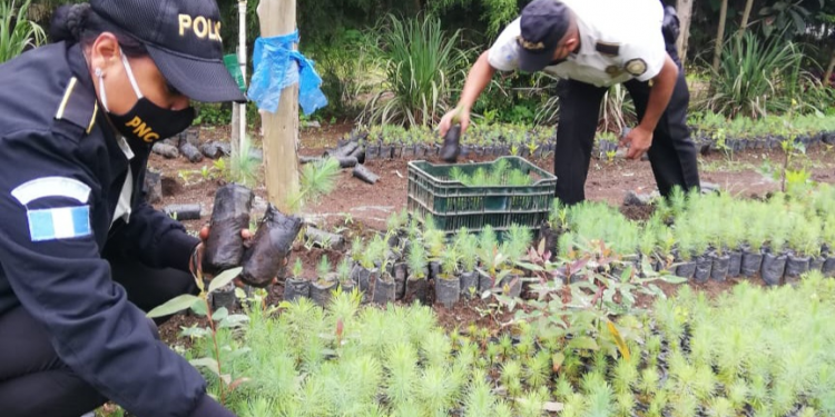 PNC pone en marcha “Un árbol por mi comunidad” en Zacapa