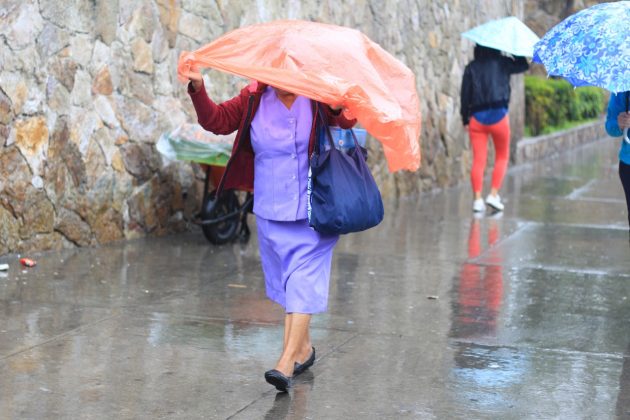 Llega la lluvia: evita problemas mayores con este tratamiento