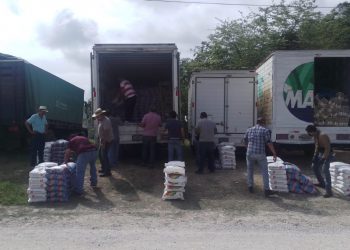 Entrega de alimentos Laguna Larga Petén