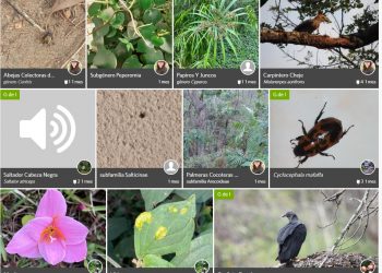 Primer reto naturalista