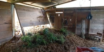 Conred registra 180 incidentes provocados por la época de lluvias