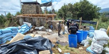 Estado de Sitio: Plantaciones ilícitas y un puesto de tiro localizados en patrullajes