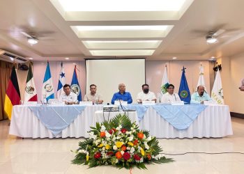 Lanzan Estrategia Integral Selva Maya 2030