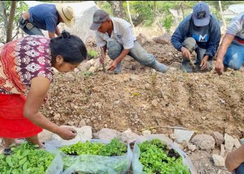 MAGA refuerza la producción de alimentos en San Juan Ermita