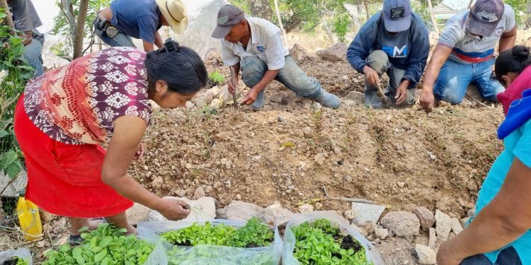 MAGA refuerza la producción de alimentos en San Juan Ermita
