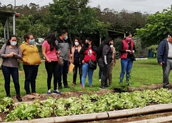 Promueven huertos pedagógicos en escuelas de Amatitlán y San Miguel Petapa
