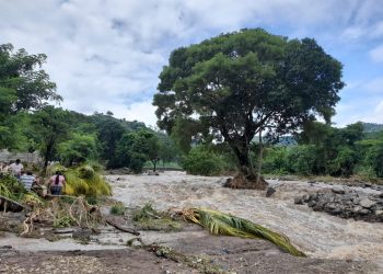 Reportan daños por lluvias