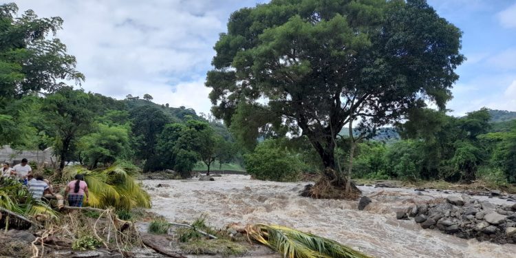 Reportan daños por lluvias